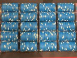 IMG_3184.jpeg