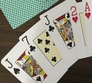 IMG_3867.jpeg