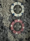 IMG_6550.jpeg