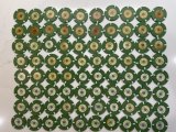 IMG_8419.jpeg