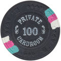 pcr100.jpg