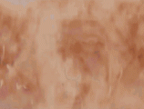 IMG_1161.gif