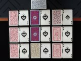 IMG_7699.JPEG