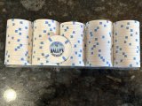 IMG_7824.jpeg