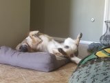 20201022_122021.jpg