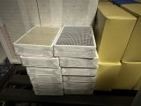 IMG_7972.jpeg