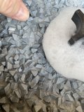 IMG_0500.jpeg