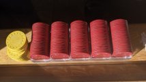 PXL_20240219_145534344.jpg