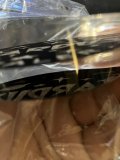 IMG_7459.jpeg