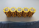 PXL_20240313_172758686.jpg