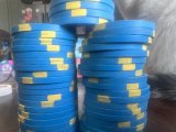 IMG_7843.jpeg