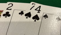 IMG_3412.jpeg