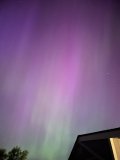 IMG_1800.jpeg