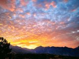 20220804_062709-EFFECTS.jpg