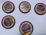 IMG_1229.jpeg