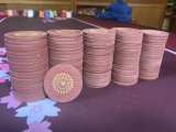 IMG_7988.jpeg