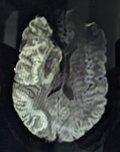 PXL_20240522_181254170.MP_1.jpg