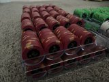IMG_7146.jpeg