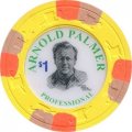 yellow chip e.jpeg