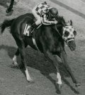 IMG_7107.jpeg