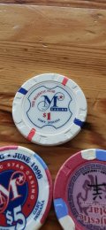 IMG_20241008_091030.jpg