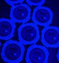 IMG_9963.jpeg