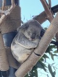 IMG_3830.jpeg