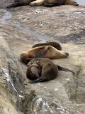 IMG_3862.jpeg