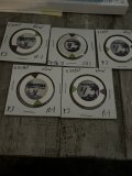 IMG_1486.jpeg
