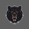 growling-grizzly-bear-head-vector-illustration-on-isolated-homogeneous-background.jpg