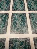 IMG_2920.jpeg