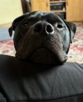 IMG_5821.jpeg