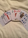 IMG_1181.jpeg