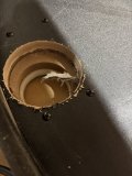 IMG_7651.jpeg