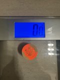 IMG_2719.jpeg