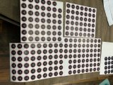 IMG_1894.jpeg