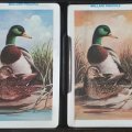 Pinochle2.jpg