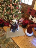 IMG_8055.jpeg
