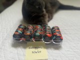 IMG_0802.jpeg