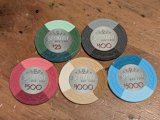 PXL_20250510_010948373.jpg
