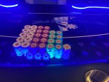 IMG_3266.jpeg