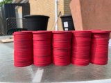 IMG_4072.jpeg