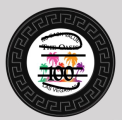 $100 chip.png
