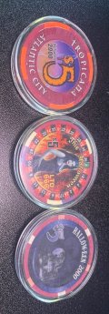 IMG_4225.jpeg