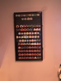 IMG_4240.jpeg