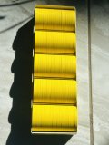 IMG_2966.jpeg