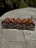 IMG_2954.jpeg