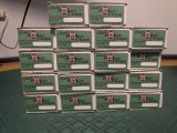 PXL_20250702_193707337.MP.jpg