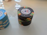 PXL_20250707_145151099.jpg PXL_20250707_145151099.jpg