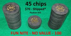 FUN NITE 100 Chips 1.jpg
